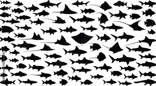 Fish silhouettes collection, marine life icons set, ocean wildlife illustration, aquatic animals shapes, underwater fauna, black silhouettes isolated white background