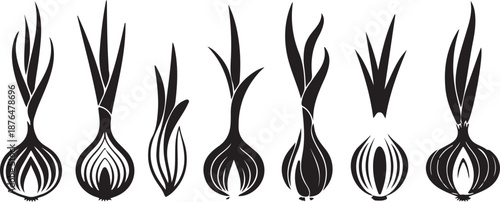 Vector illustration onion silhouette icon isolated on white background