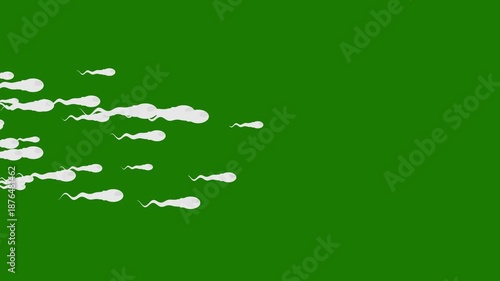 animated sperm movement in low speed isolated green. reproduction proccess animation