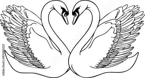 Two elegant swans forming a heart shape with their necks.