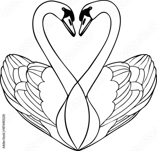Two elegant swans forming a heart shape with their necks.
