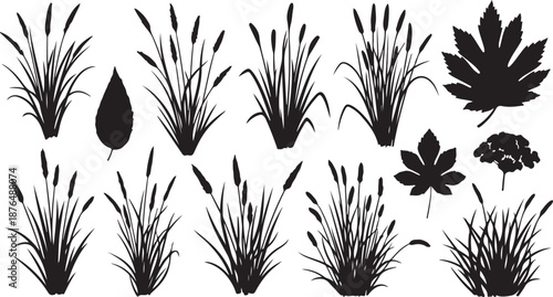 Black silhouettes of various plants and grasses on white