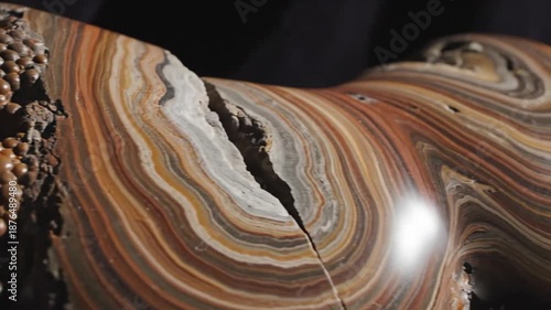 A detailed stone concretion with layered patterns and striations