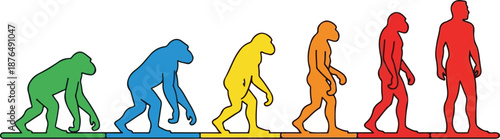 Illustration shows human evolution from ape to modern man in progression