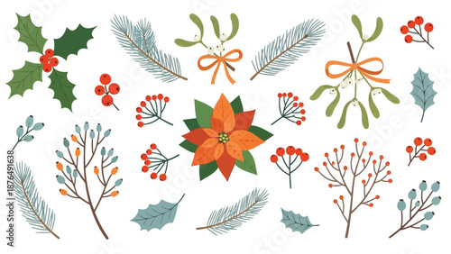 Festive botanical collection holly mistletoe poinsettia and various winter foliage