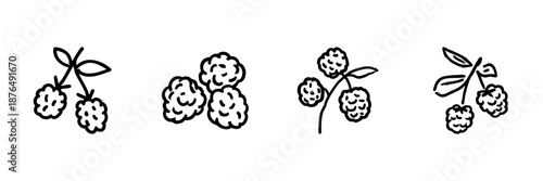 Berry Line Icon Set In Doodle Style. Fruit Identification, Botanical Illustration, And Nature Sketch Collection. Hand Drawn Isolated Vector Illustration