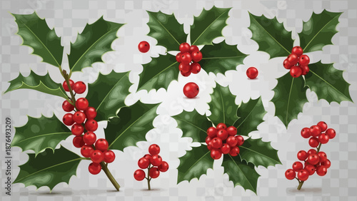 A vibrant arrangement of holly branches with glossy leaves and bright red berries