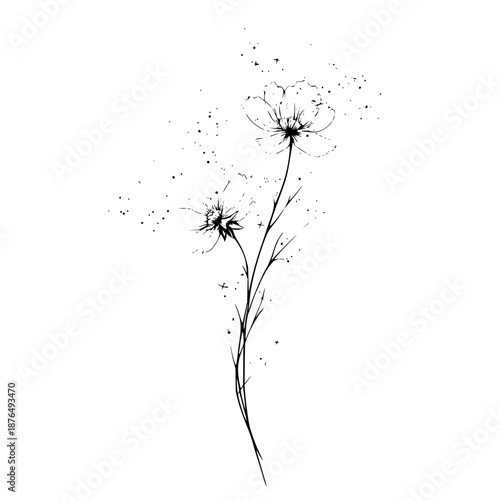 Dandelion Flowers Releasing Seeds on White Background