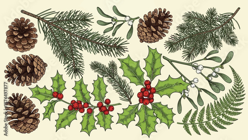 A festive arrangement of winter greenery pine cones holly mistletoe and fern