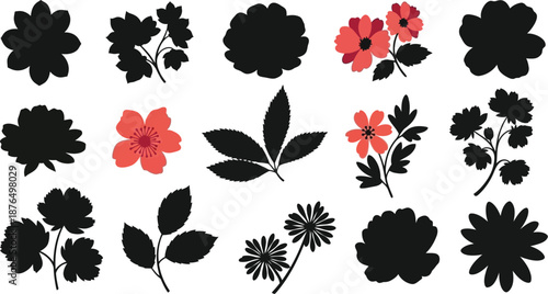 collection of flowers and leaves in silhouette on transparent background