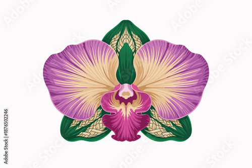 A vibrant purple orchid flower with green leaves on a white background