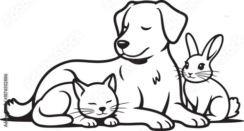 Vector group of pets - Dog, cat, bird, rabbit, isolated on white