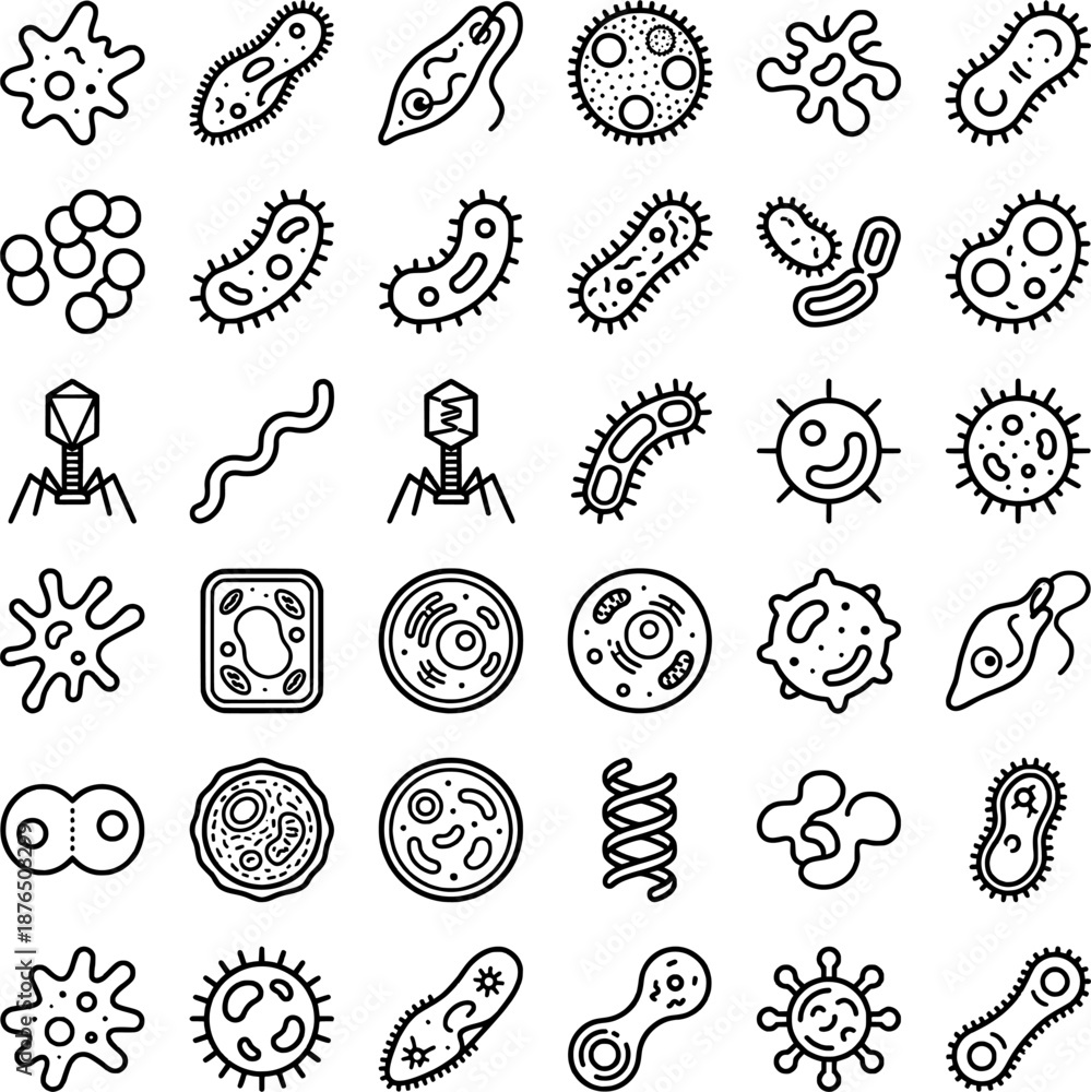 Obraz premium Microscopic Pond Life and Protozoa Vector Icon Set, Educational Biology Line Art of Amoeba Bacteria and Single Cell Organisms for Science School Material