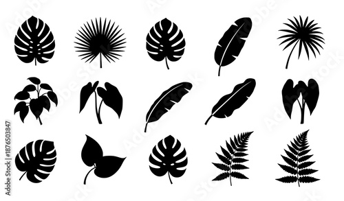 Abstract black tropical leaf silhouettes collection botanical vector illustration