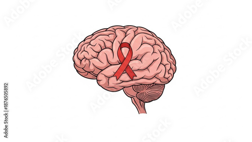 Human brain with red awareness ribbon symbolizing health and medical concepts on white background