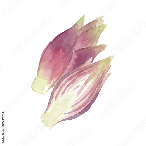 Watercolor-style illustration of condiments and myoga ginger／薬味・茗荷