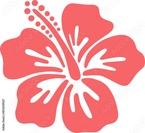 pink hibiscus flower