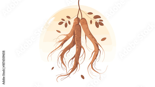 An illustration of ginseng roots and seeds in a minimalist style