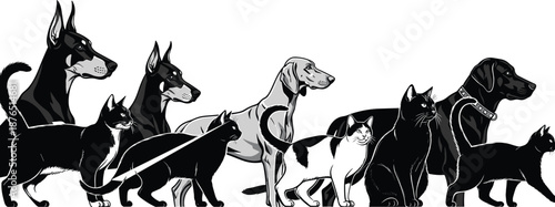 Dogs and cats illustration lineup, domestic pets standing together in various breeds, black and white vector artwork isolated on white background animal concept