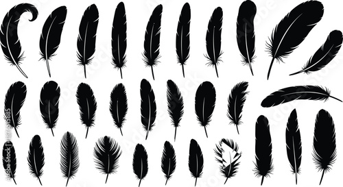 Black feather silhouettes collection set, various bird plumage shapes, elegant natural elements, detailed vector illustration isolated on white background for design and decoration use