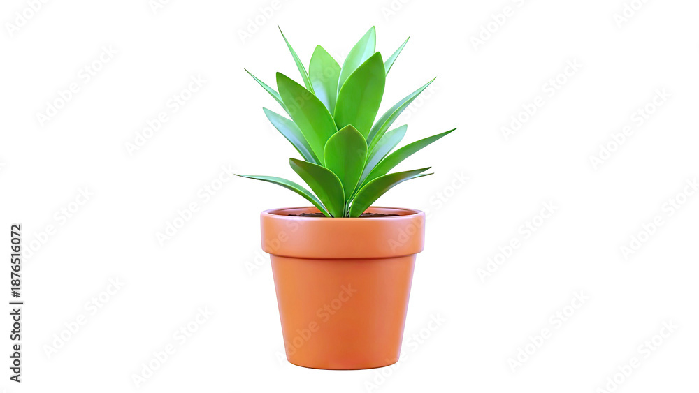 Fototapeta premium Potted Green Plant