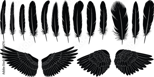 Black feather and wing silhouettes set with bird plumage details, elegant avian elements, detailed vector illustration isolated on white background for design