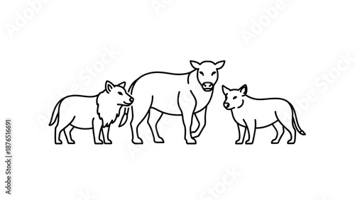 Minimalist line art illustration of a cow with two wolves
