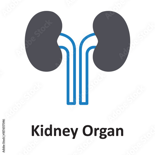 Kidney Organ Vector Icon which can easily modify or edit