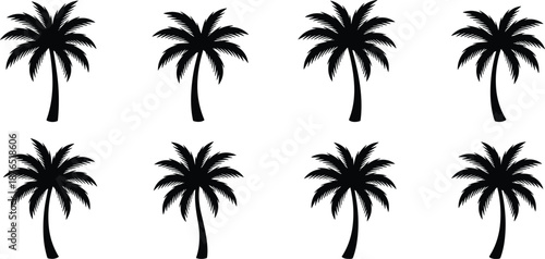 Black palm tree silhouette set collection isolated on white background for tropical island beach summer travel and exotic nature design,
