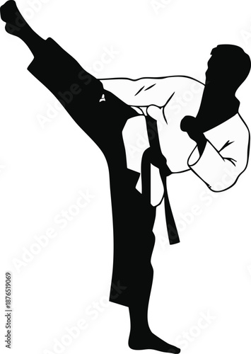 Silhouette of a martial artist performing a high kick in a traditional uniform, demonstrating power and precision.