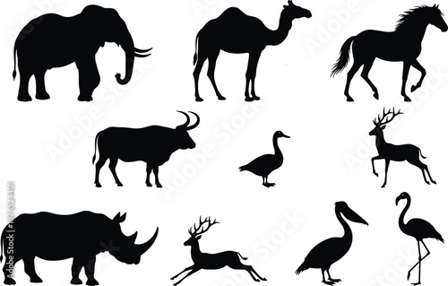 Set of black animal silhouettes including elephant camel horse buffalo duck deer rhinoceros pelican and flamingo isolated on white background.