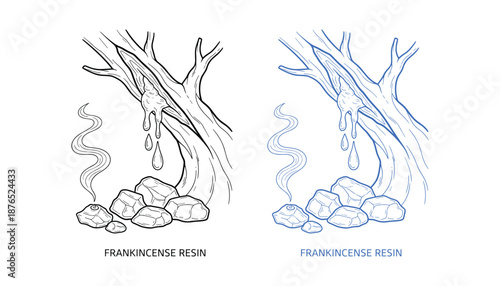 Frankincense resin vector drawing set on transparent background isolated on white