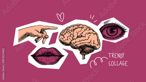 Trendy collage with sketch brain, hand, eye, lips. Human mind, senses, psychology, mental health, creativity concept. Poster, social media, podcast cover. Bold pop art vector illustration.