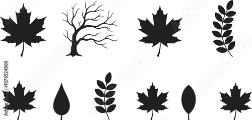 Set of black silhouettes featuring various maple leaves and rowan foliage with a single bare winter tree isolated on white.