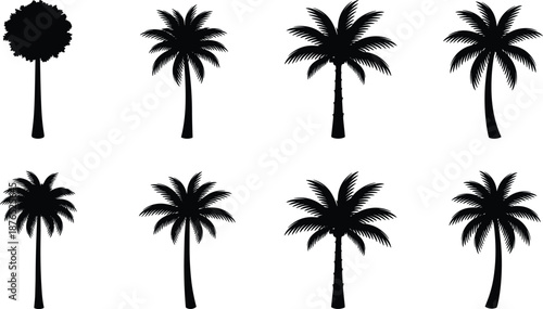 Set of Palm Tree Silhouettes Featuring Tropical Coconut and Date Palms for Summer Vacation Design, Beach Landscape, and Exotic Nature Projects
