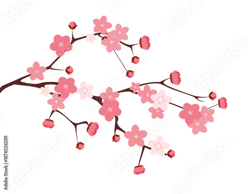 Vector pink springtime cherry blossom. Cherry tree branch with spring pink flowers isolated on white