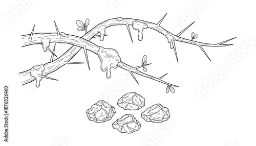 Illustration of crown of thorns and stones isolated on transparent background in vector format