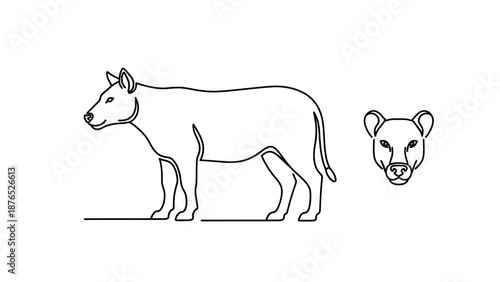 Minimalist Line Art of a Tasmanian Devil and its Head