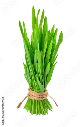 Tableau sur toile Fresh green wheatgrass sprouts bundled together and isolated, symbolizing health