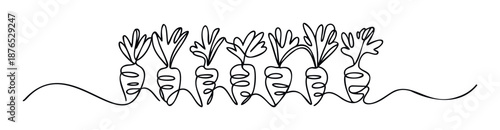 Minimalist continuous line art featuring a row of fresh carrots with green leaves, suitable for organic food packaging, agricultural projects, or healthy diet advertising materials.