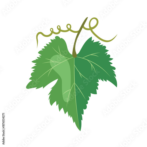 Grape leaf. Flat vector clipart, illustration with isolated background.