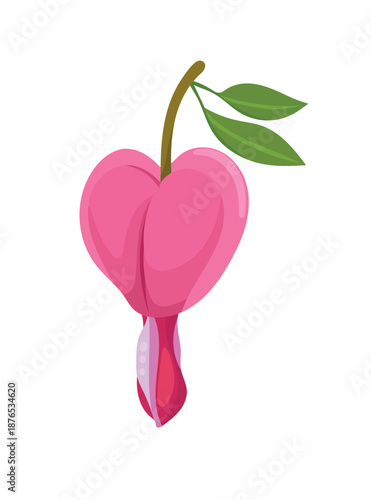Bleeding Heart  flower. Flat vector clipart, illustration with isolated background.