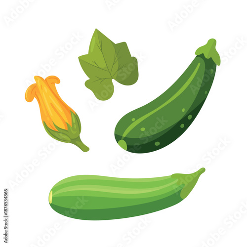 Zucchini. Flat vector clipart, illustration with isolated background.