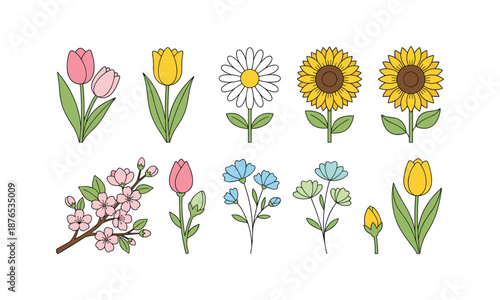 Simple bundle of spring blossom flowers tulip sunflower branches set vector
