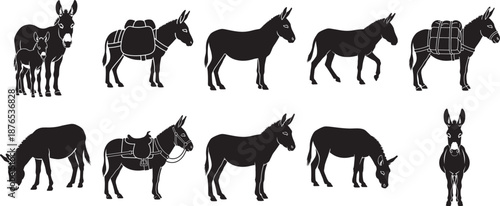 A diverse collection of donkey silhouettes showcasing various poses, from grazing to carrying loads Vector