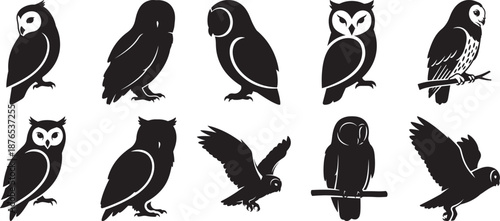 A captivating collection of diverse owl silhouettes showcasing various poses and artistic styles Vector