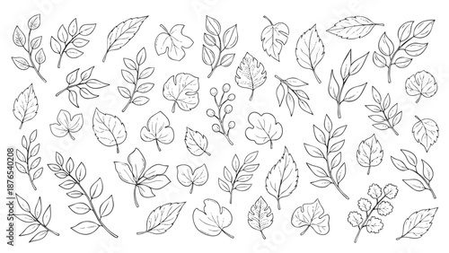Collection of various detailed leaf and plant illustrations isolated on transparent background