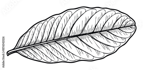 Hand drawn botanical plant leaf outline perfect for organic branding, natureinspired print materials, ecofriendly product packaging, and elegant textile designs