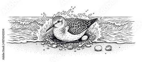 A detailed black and white line drawing depicting a shorebird protectively nesting on a collection of pebbles and eggs amidst breaking ocean waves on a sandy beach perfect for nature themed
