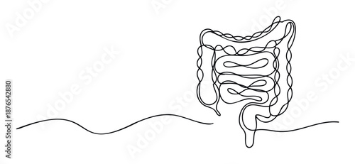 Abstract continuous line drawing of human intestines perfect for medical presentations, educational resources, health awareness campaigns, and digestive system information.